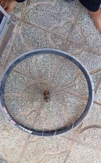 رینگ