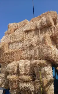 خرید وفروش پرس گندم..