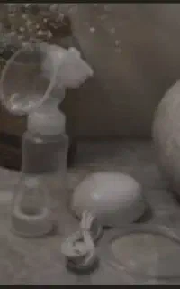 شیردوش برقی و بالشت شیردهی نو