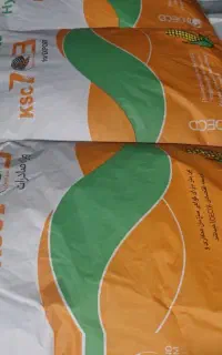 بذر ذرت 703تاریخ جدید