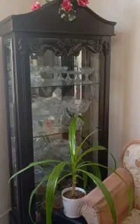 بوفه