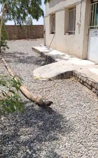 منزل سرایداری