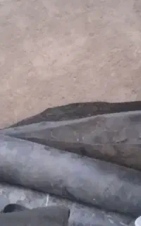ورق استخر