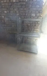 چهارر عدد قفس عروس هلندی و مرغ