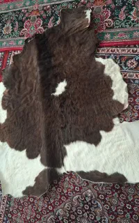 پوست گاو