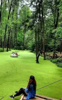 سفر به قلعه رود خان و ساحل گیسوم و جنگل گیسوم