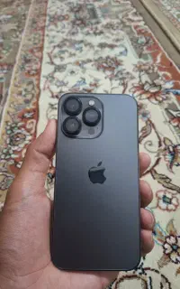 13 pro