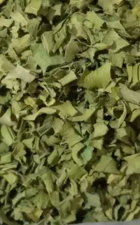 پرموسیر