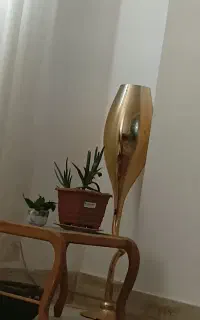گل دان