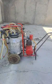 شیردوش