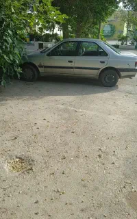 روآ شاستی سالم