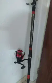 لنسر