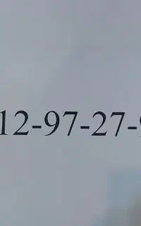09129727931