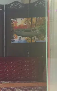پارتیشن