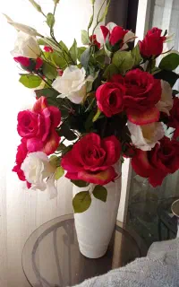 گل گلدان