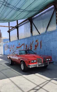 نیرو کارواش