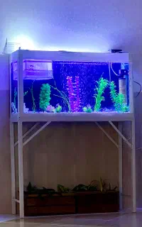 اکواریوم با پایه