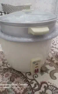 پلو پز برقی