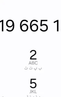 919