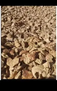نان خشک ریز شده