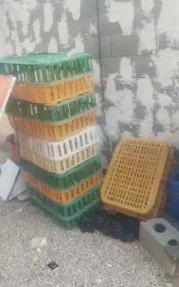 فروش وسایل مرغ زنده. پرکن وتمام وسایل کامل