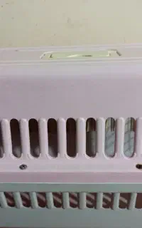 باکس خرگوش
