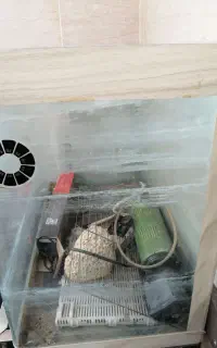 آکواریوم