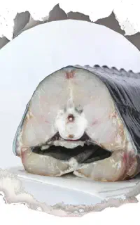 ماهی خاویار صادراتی عمده