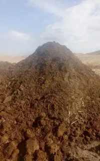 فروش کود حیوانی