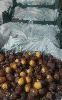 حلیلی