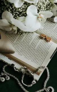 آتلیه  تخصصی عروس ودامادبه همراه ورودی باغ وعمارت
