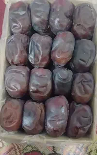 صادرات خرما از باغ به خانه شما