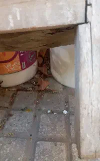 نقاشی نما داخل ساختمان و کاغذ دیواری