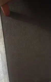 موکت