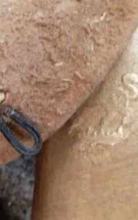 قر برنج شیر و خورشید اصل حداقل قدمت ۲۸۰ سال