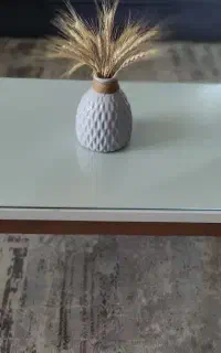 میز جلو مبلی