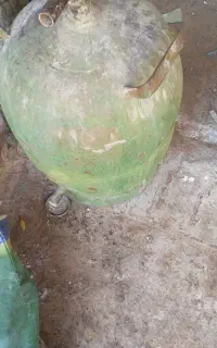 کپسول نفت