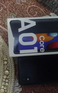 a01