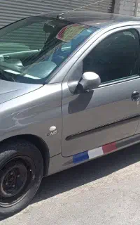 206sd دوگانه کارخانه