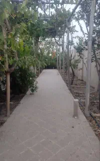 خانه باغ برای اجاره روزانه ماهیانه و سالیانه