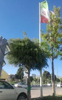 کارگر ساختمانی وپیمان کاری کنتراتی