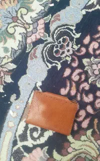 کیف پیدا شده