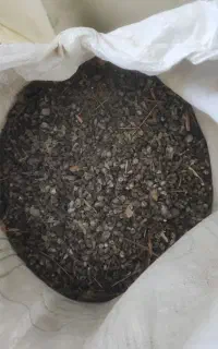 کود کبوتر