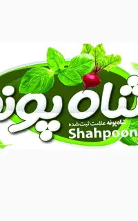 نیروی کار خانم در فروشگاه