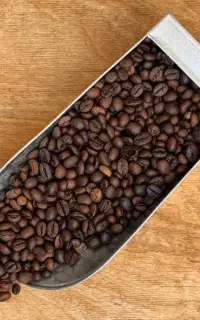 پخش قهوه(عمده،جزئی)