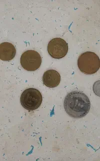 کلکسیون