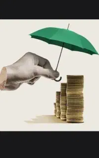 وینزی