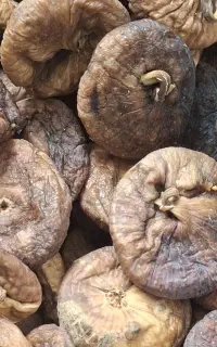 انجیر خشک درجه یک ،امسال