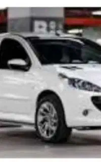207پانورما 1404