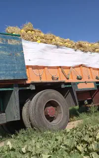 نیازمندی